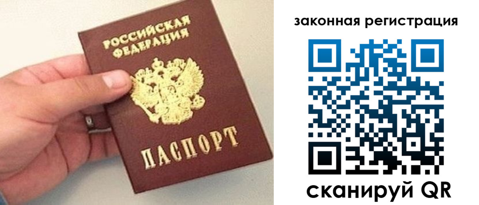 прописка для школы в Ельце